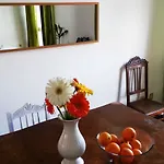 Lemon Tree * Фару