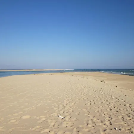 아파트 Lemon Tree *