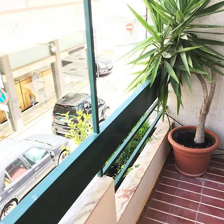 Apartment Lemon Tree *