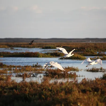 Appartement Lemon Tree