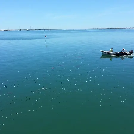 Appartement Lemon Tree District de Faro